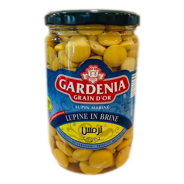 Lupin Gardenia 650 - ترمس جاردينيا